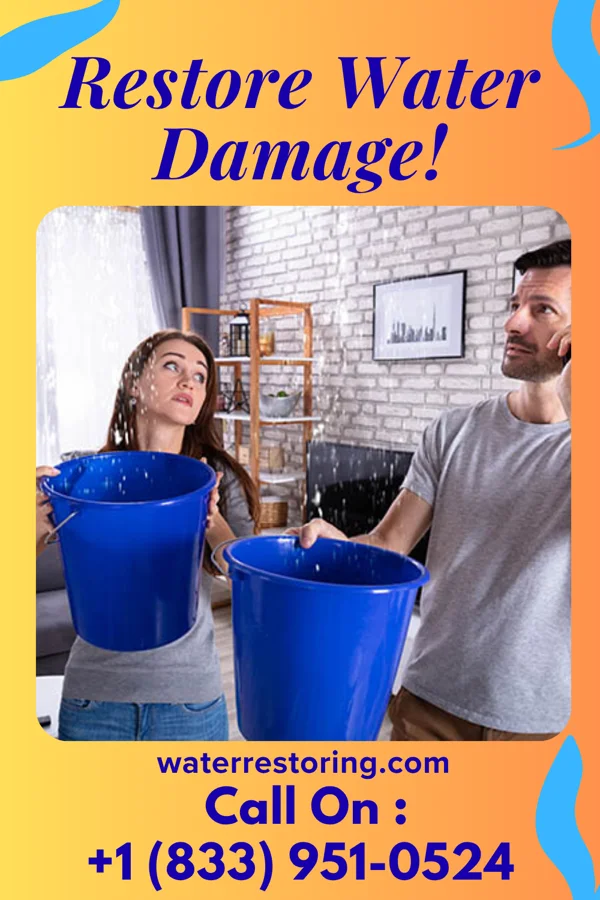 water restoration Silver Sewage Cleanup Specialists Merriam Woods