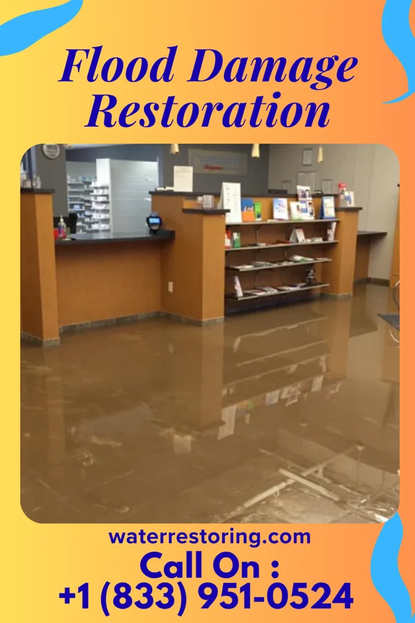 Flood Damage Restoration in Merriam Woods, MO