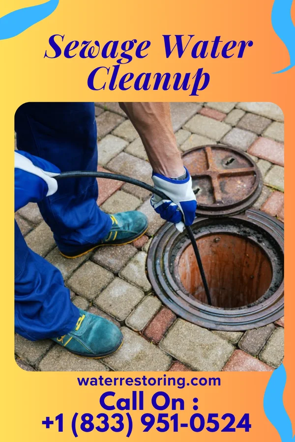 Sewage Water Cleanup in Merriam Woods, MO